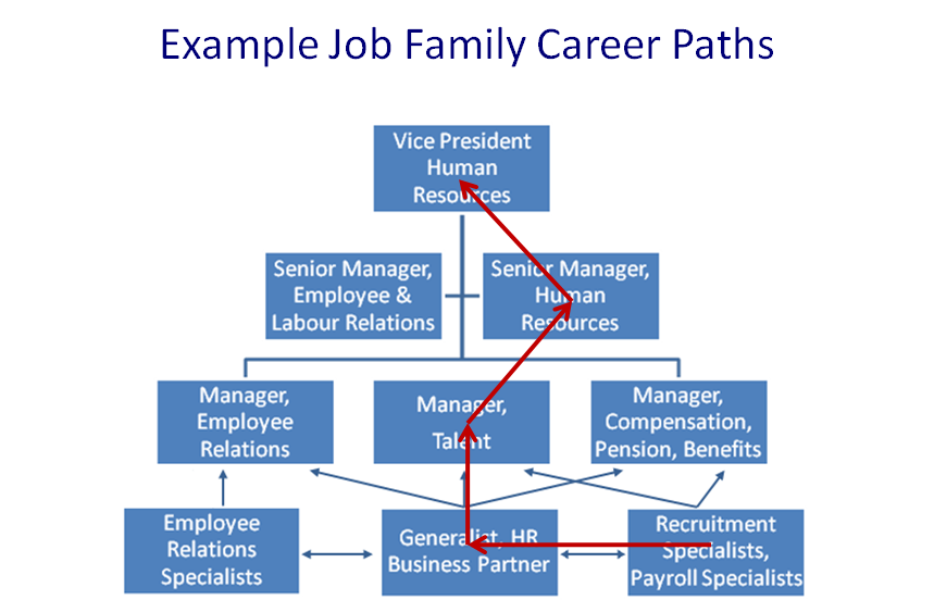 Is Basic Industries A Good Career Path