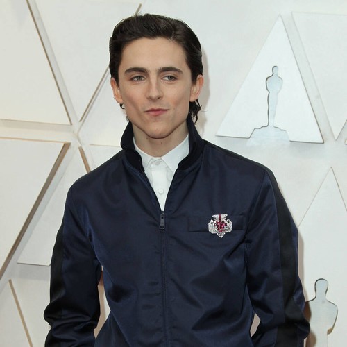 Timothée Chalamet once ran his own YouTube channel