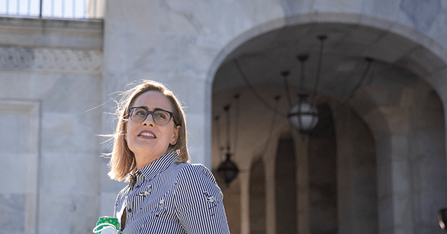 VIDEO: Bride, Mother Beg Leftist Anti-Sinema Protesters to Stop ‘Ruining’ Marriage ceremony