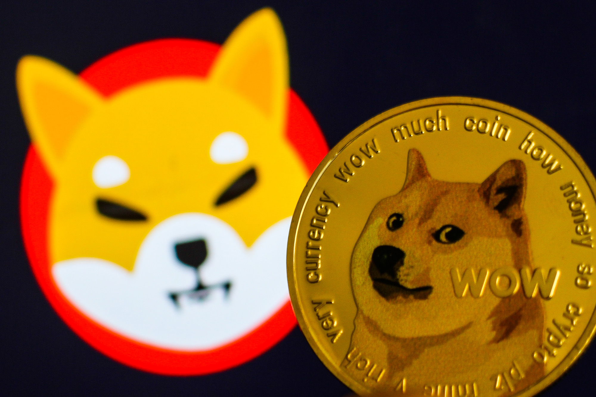 Representation of Dogecoin cryptocurrency is seen with Shiba Inu cryptocurrency logo displayed on a screen in the background in this photo illustration