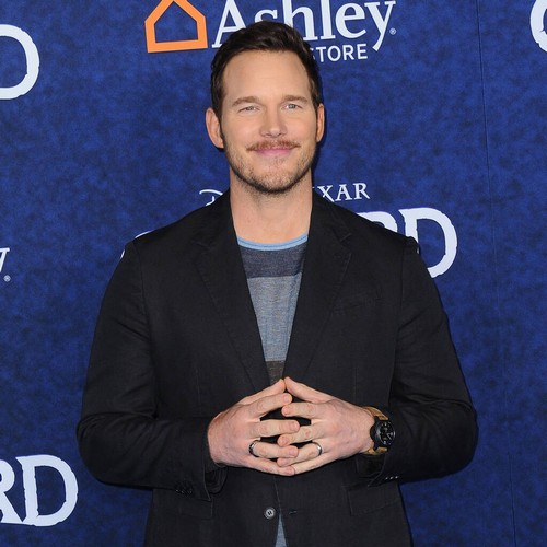 Chris Pratt lawsuit of shading ex-partner Anna Faris on Instagram