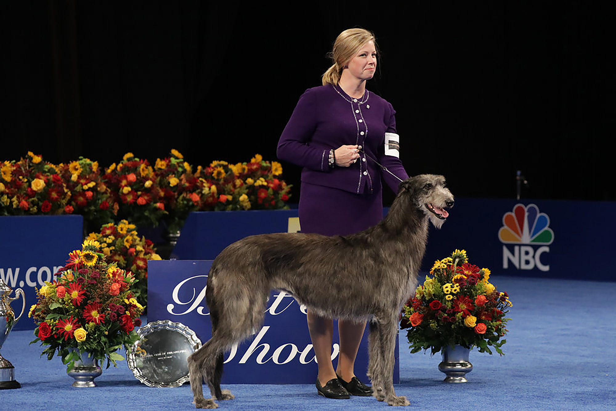 Simplest in Say winner at 2021 National Dog Say makes historical past