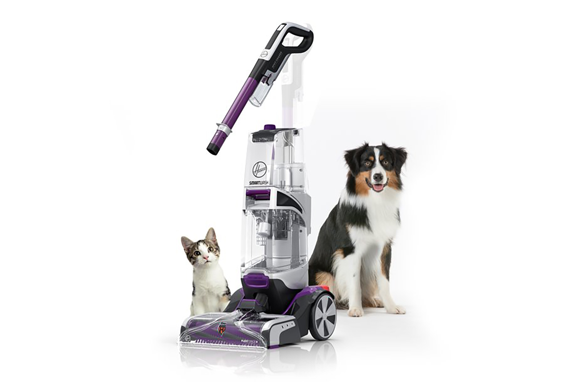 A cute cat and a dog sit next to a purple vacuum 
