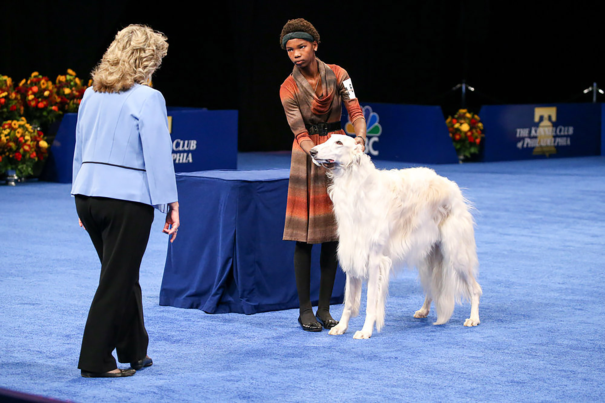 The Borzoi meeting a judge.