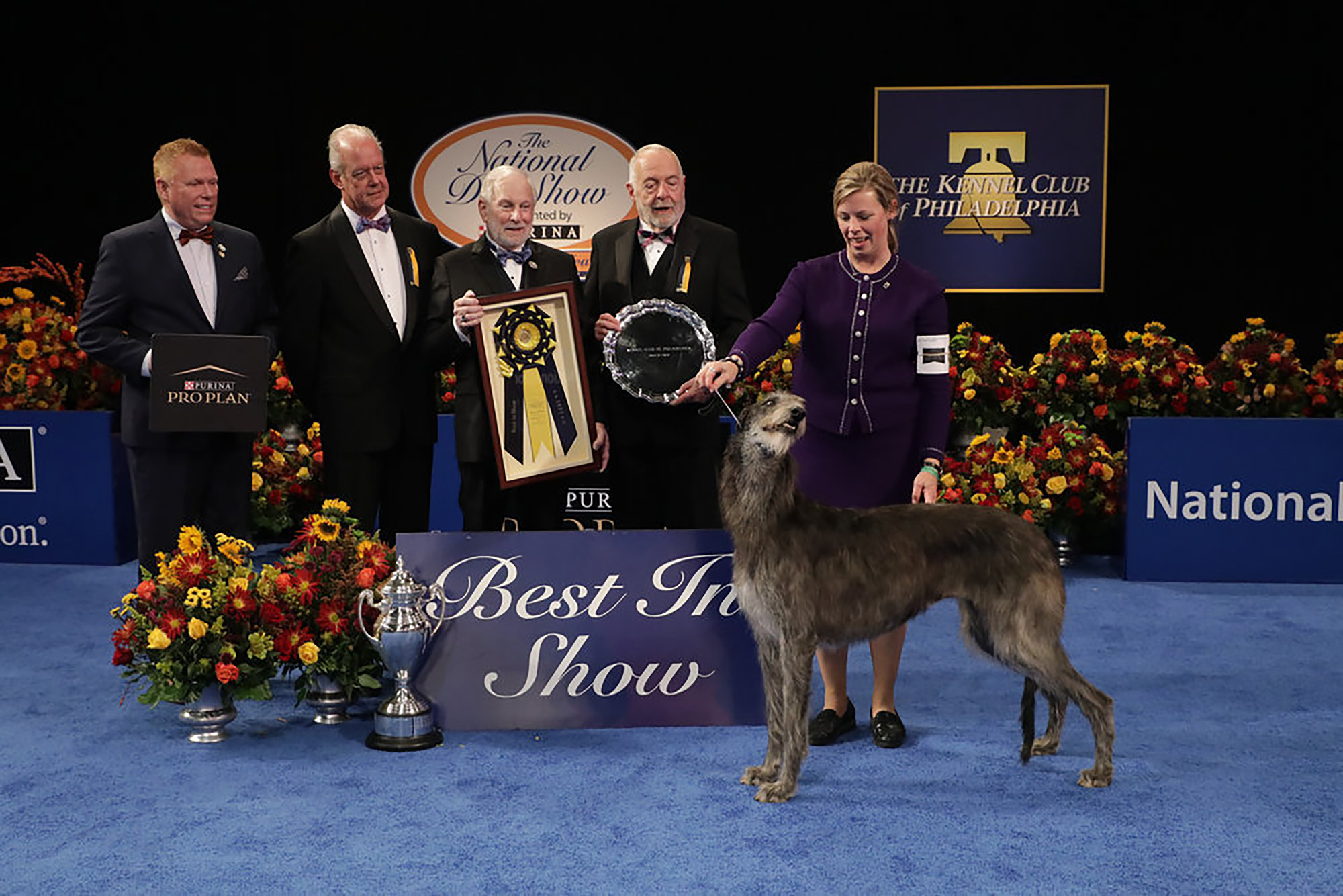 Handler Angela Lloyd celebrates with her winning Scottish Deerhound, Claire.