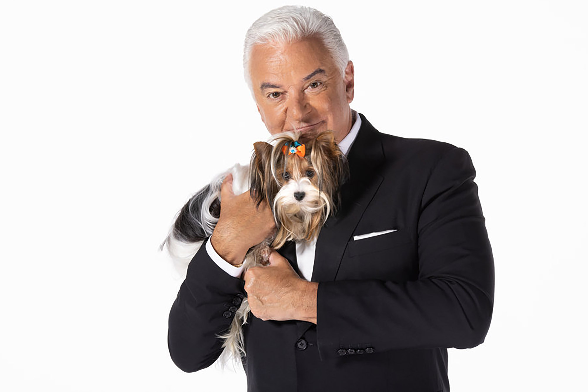 John O'Hurley holding a Biewer Terrier, the newest breed to compete.