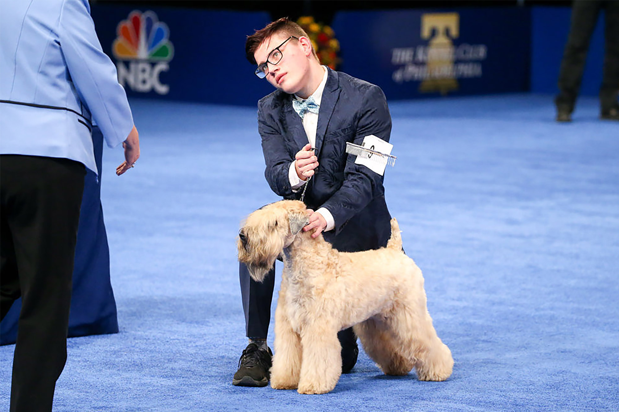 The Soft Coated Wheaten with its owner.