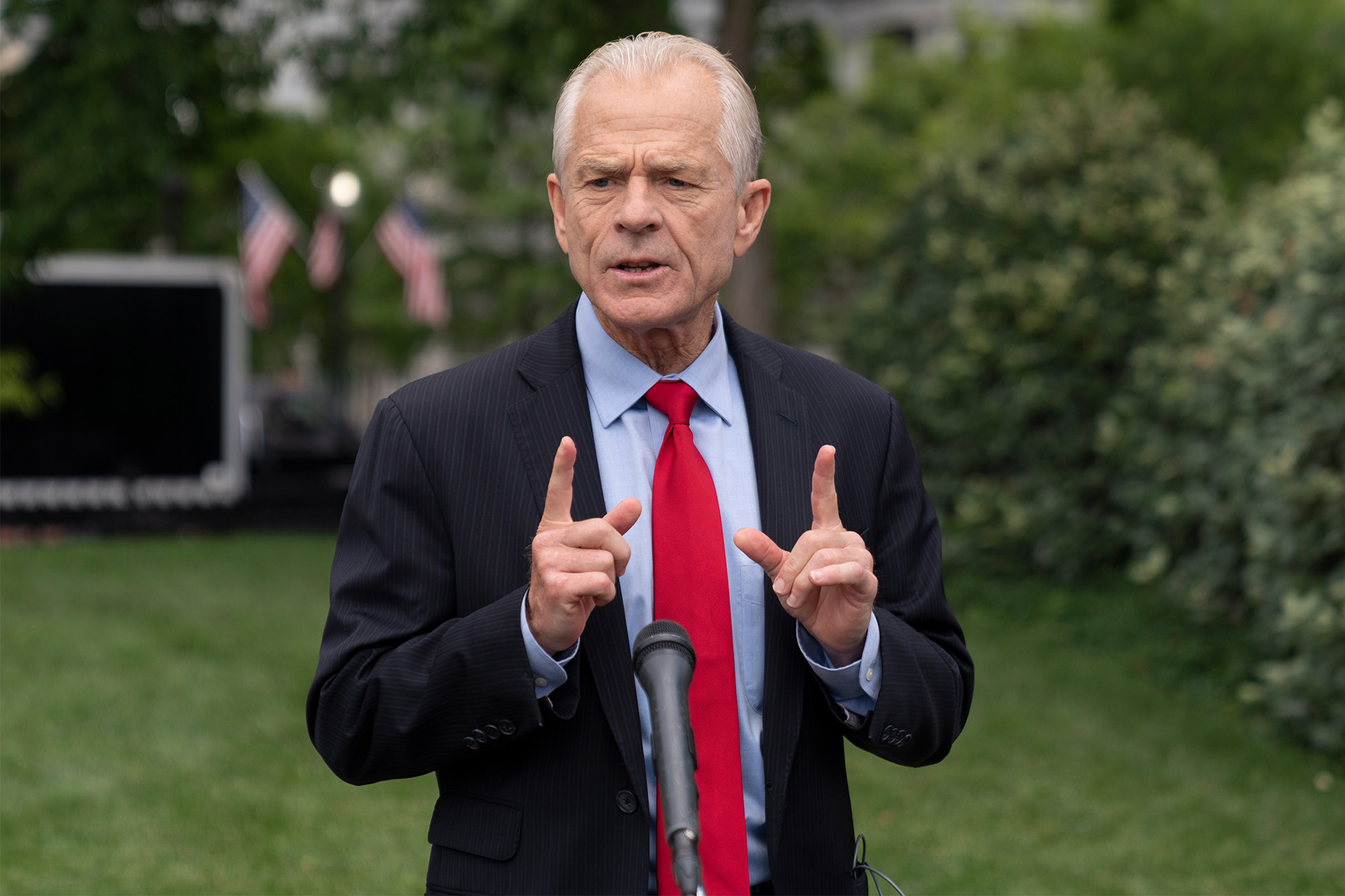 Former President Donald Trump's economic adviser Peter Navarro takes aim at Dr. Anthony Fauci in his new memoir of his experience in the White House.