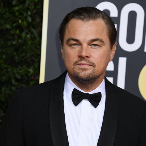 Leonardo DiCaprio given 'free rein' to improvise on region of Search not Ogle Up