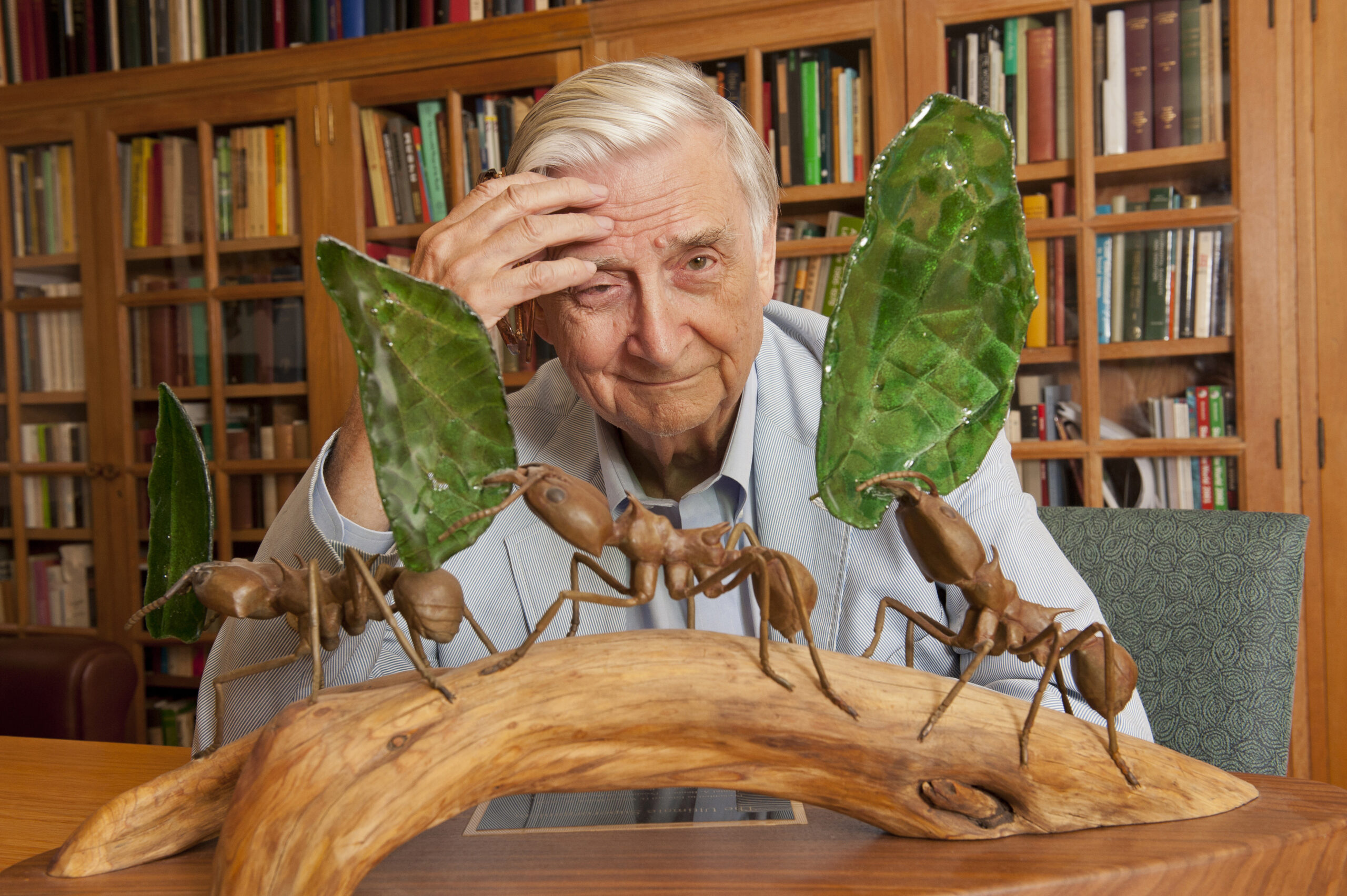 How Edward O. Wilson taught us to enlarge our sense of wonder