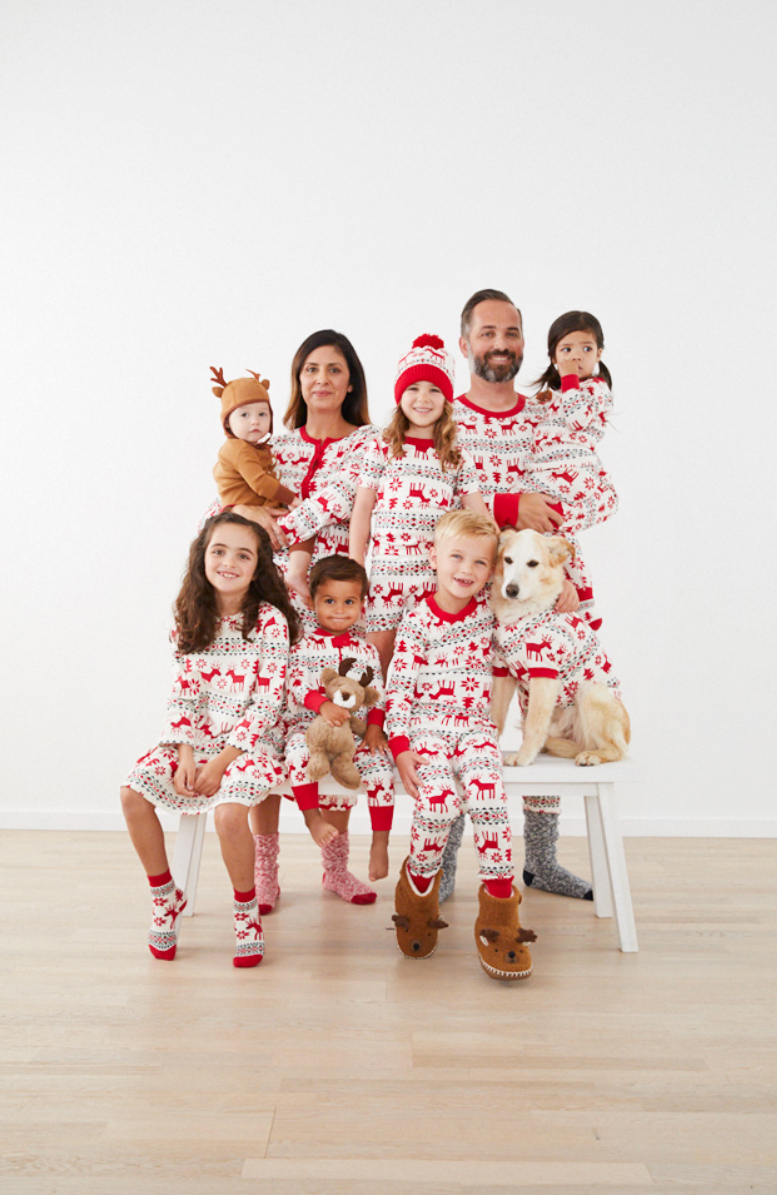 Hanna Andersson Dear Deer matching family pjs