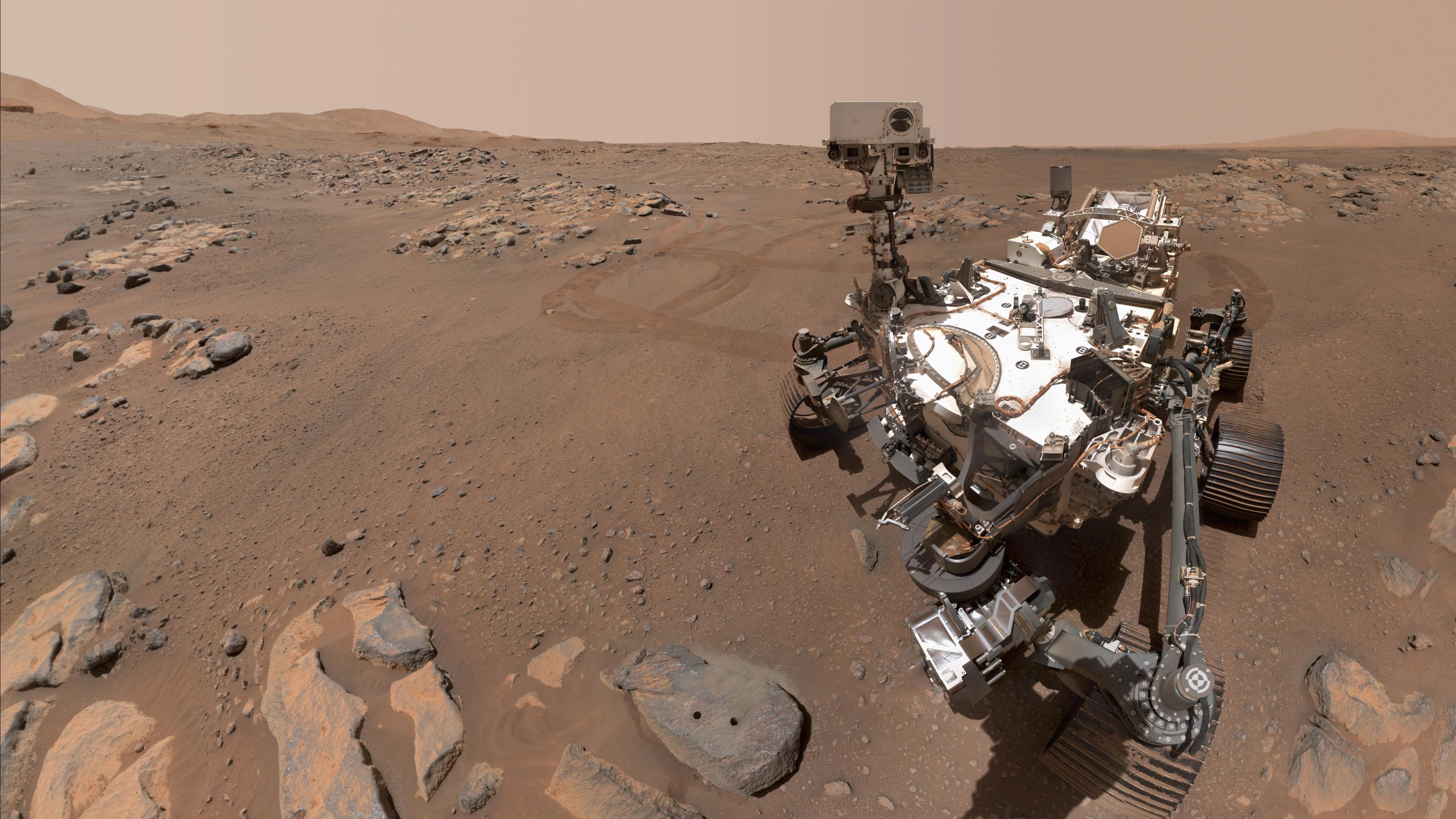 NASA's Perseverance Mars rover taking a selfie over a rock nicknamed 'Rochette.' Perseverance was another runner-up for word of the year.