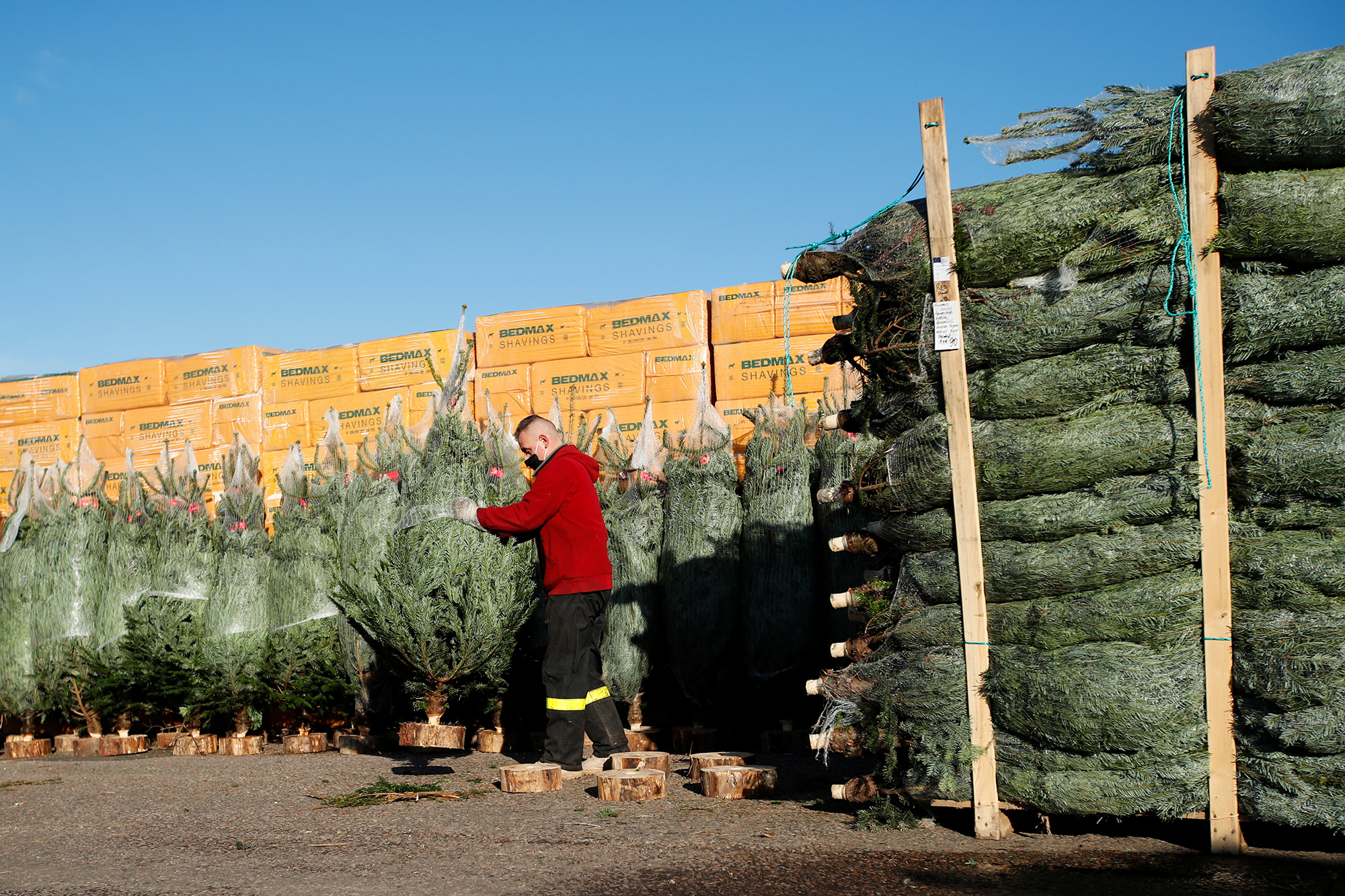 An employee prepares a Christmas tree