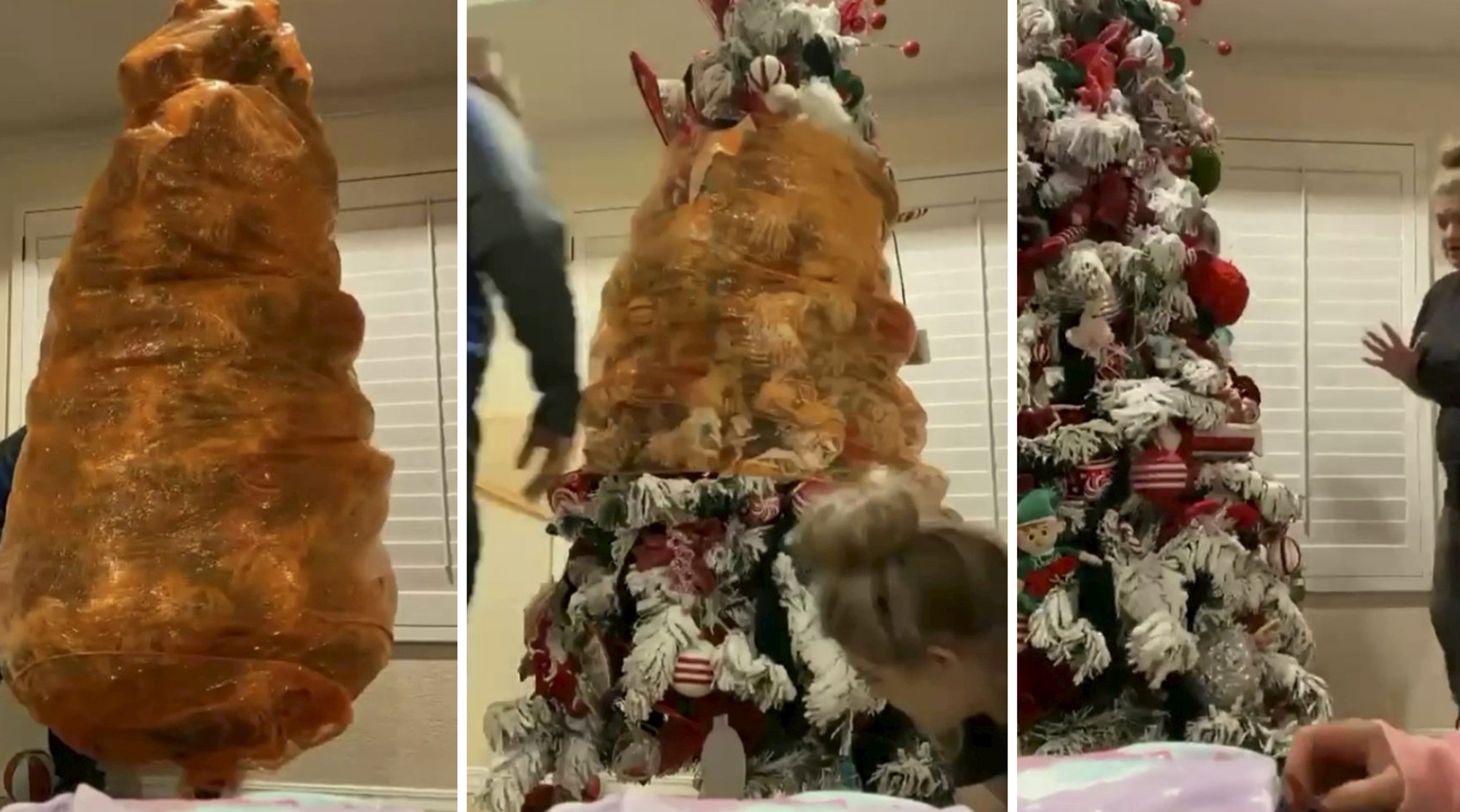 Video grab of the moment a mom unwrapped her Christmas tree in cellophane that held last year's decorations in place - to preserve the baubles hung by her teenage son weeks before he died.
