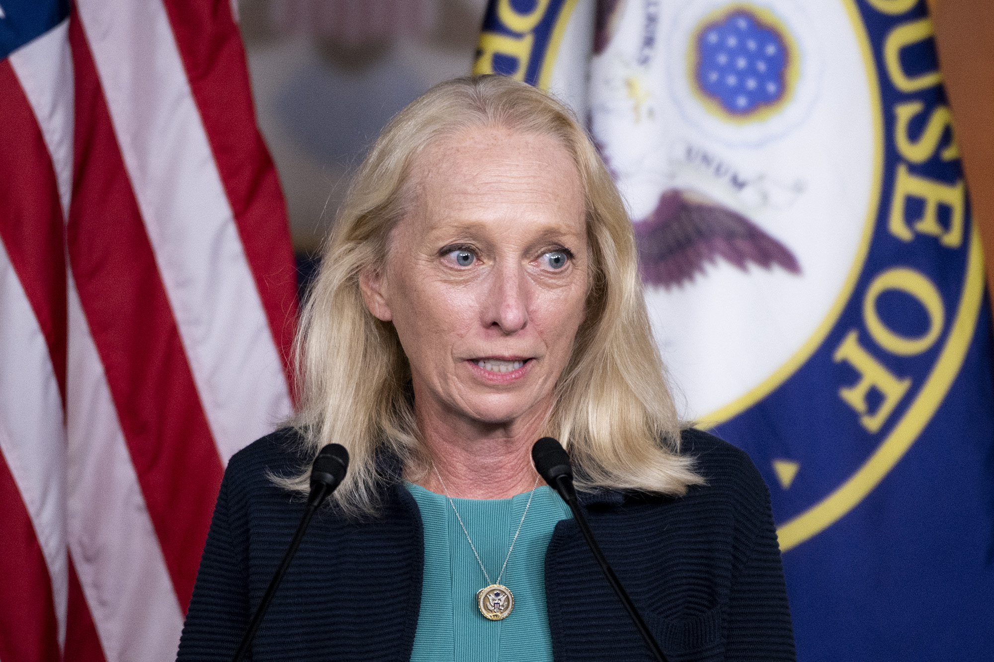 Rep. Mary Gay Scanlon.