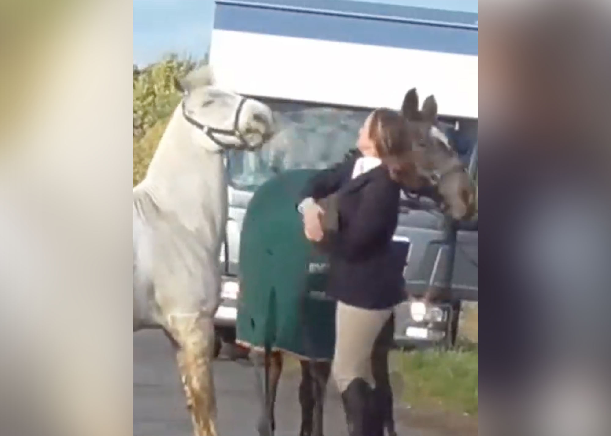 A still from the disturbing video shows Moulds beating the horse as she leads it back to the trailer.