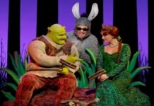 Shrek Costume Ideas For Your Upcoming Halloween Shrek Costume Ideas For Your Upcoming Halloween