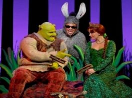 Shrek Costume Ideas For Your Upcoming Halloween