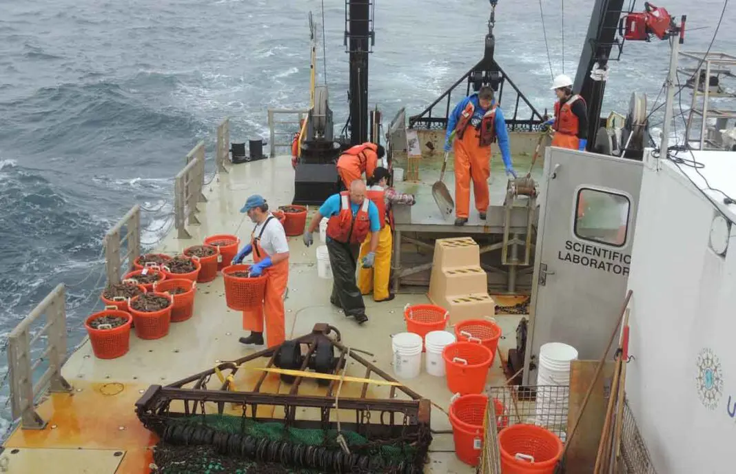Equipment Is Used For Dredging