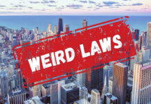 5 Strange & Weird Laws from Around the World 5-strange-and-weird-laws-from-around-the-world
